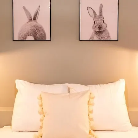 Centre - And Functional Ap. Lejlighed Lille