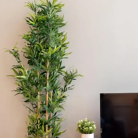 דירה Centre - And Functional Ap.